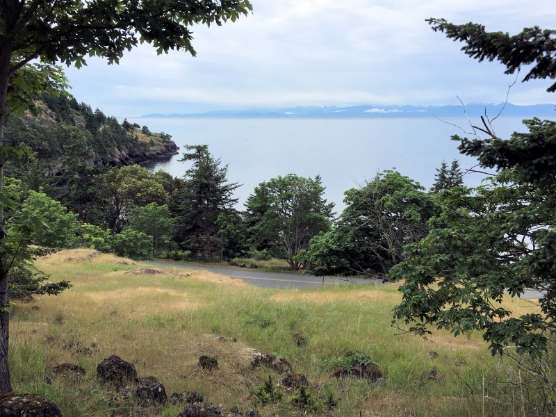 View above Lime Kiln park