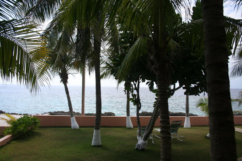 View from second room