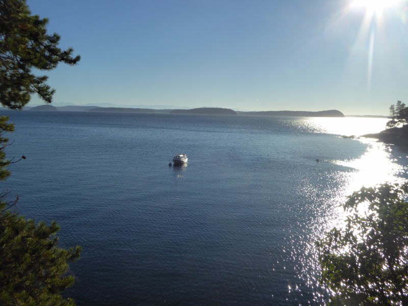 View of the anchorage from one of the waterfront campsites