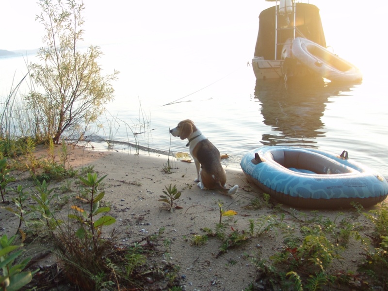 Waiting for the food that's still on the boat.