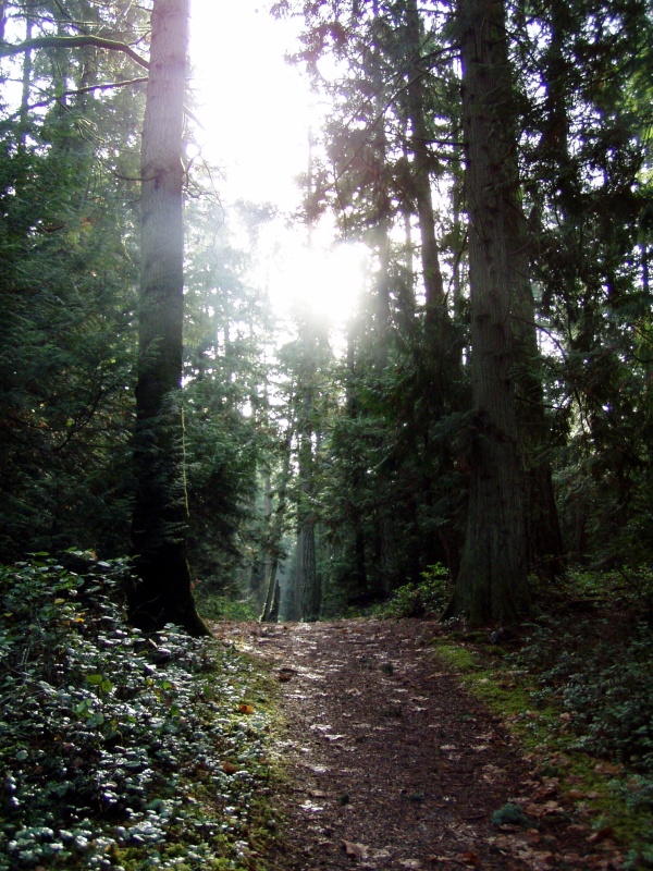 Walking the trail on Newcastle Island
