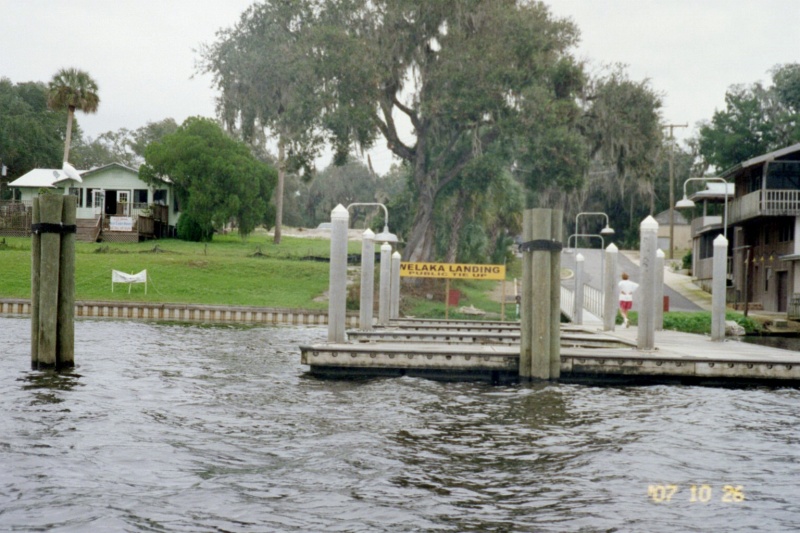 Welaka Landing Florida
On a side note. I tell you Elvis LIVES here ! We saw him fishing off that dock !