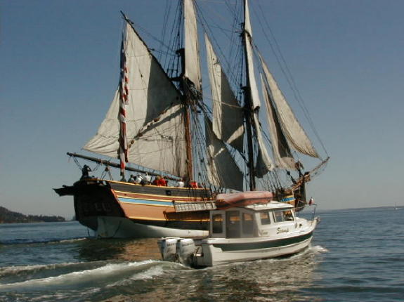 What a cool site to see