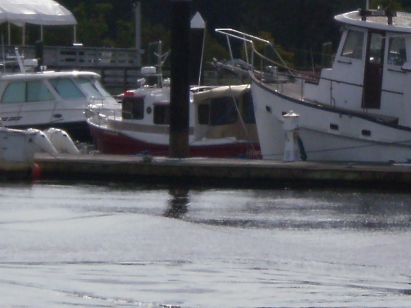 What ! A Ranger Tug hiding out?