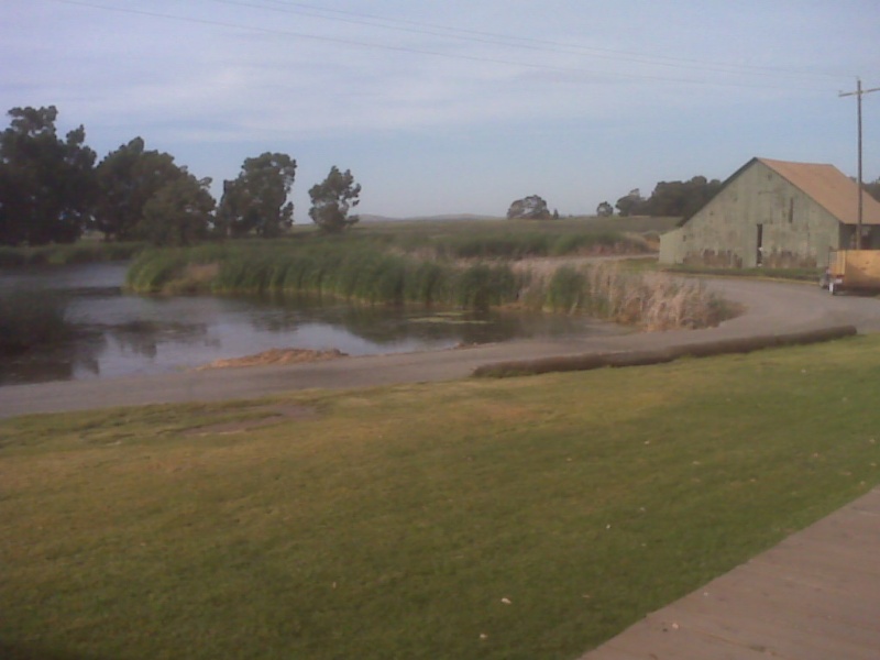 Wheeler Island, Backyard View!