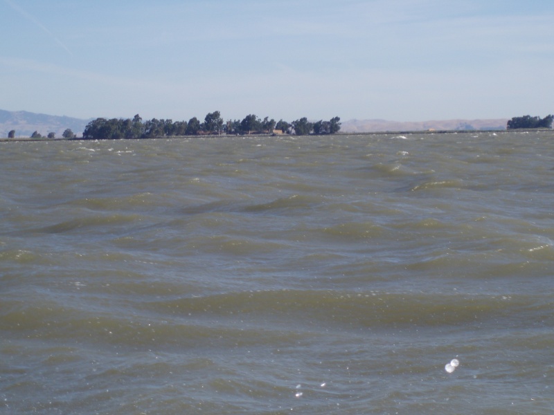 Wheeler Island Duck Club on the way back to Rio Vista up the Delta River.