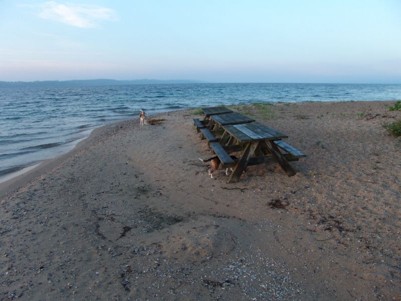 Winds are just starting to pick up. 10-20 mph by noon.