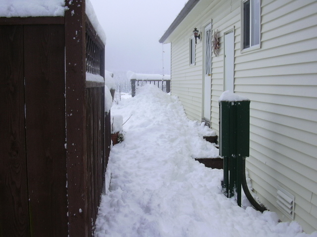 Winter at Freshwater Bay 033
