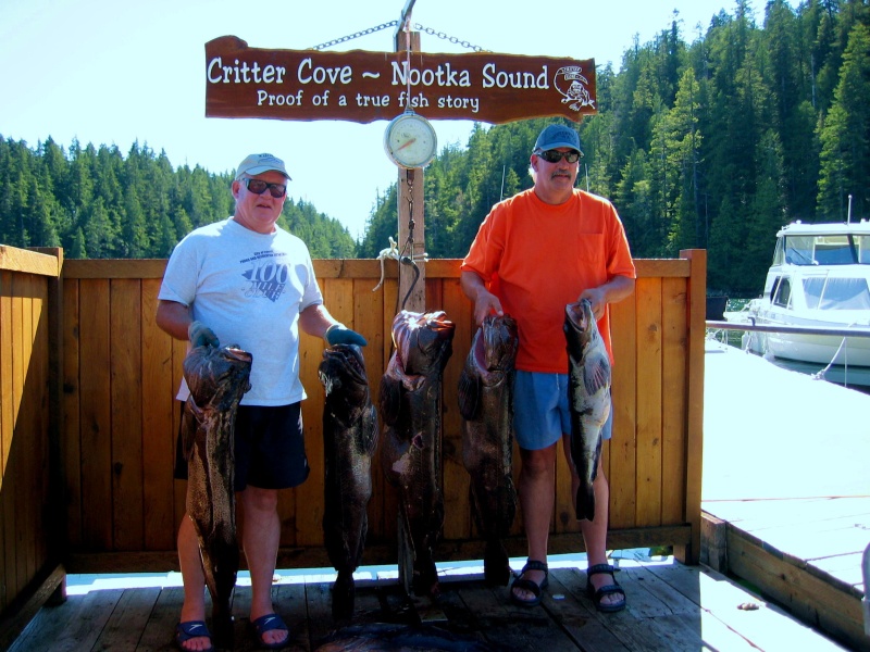 (Work Release) Nooka Sound/ Critter Cove Lind Cod morning catch