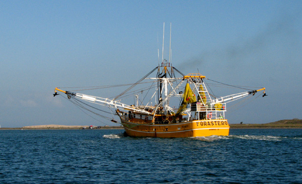 Yellow shrimpboat against the blue water and sky